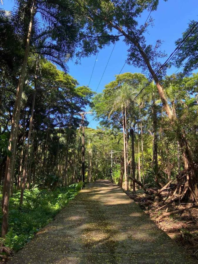 Momarco Forest Cove Tanay Eksteriør billede