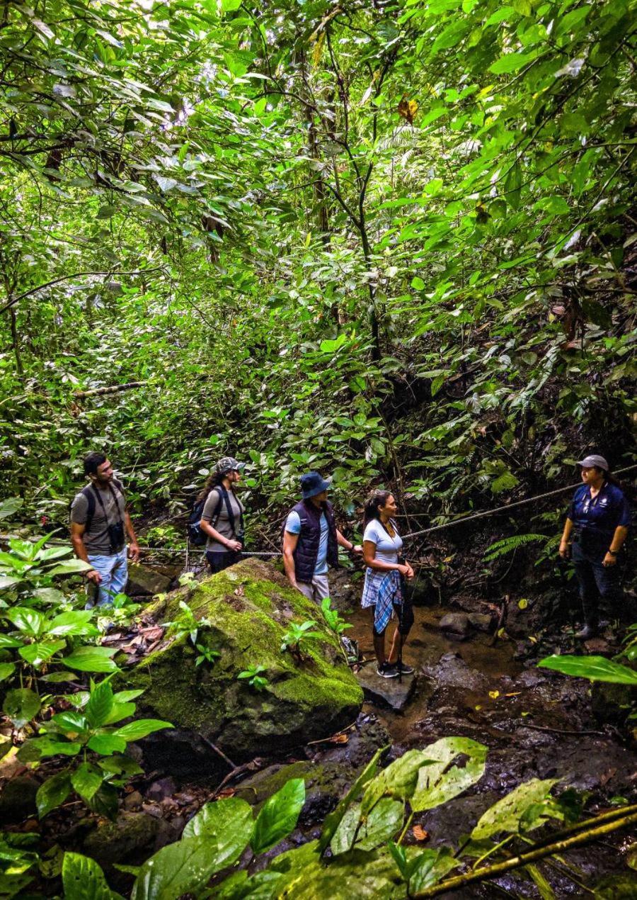 Momarco Forest Cove Tanay Eksteriør billede