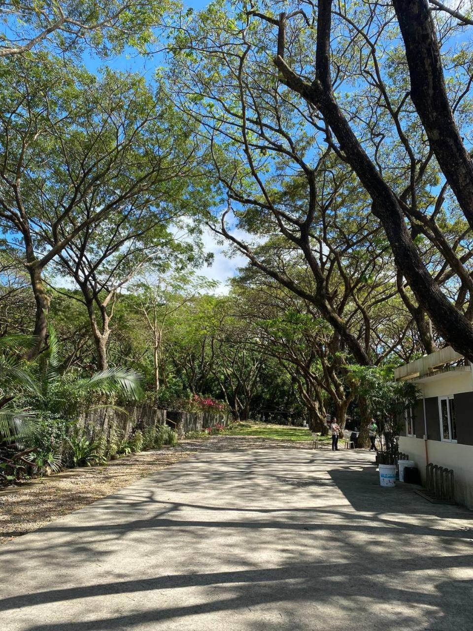 Momarco Forest Cove Tanay Eksteriør billede